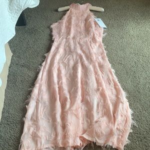 Vicky and Lucas NWT Blush Pink Dress